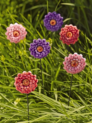 Zinnia Plant Staking - Cum să mizezi florile de Zinnia în grădină