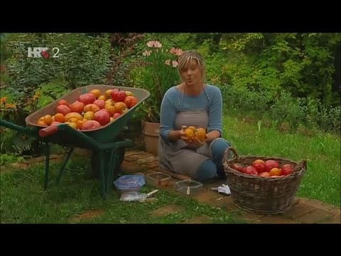 Утврђивање збијености тла: Да ли је моје тло превише збијено за вртларство