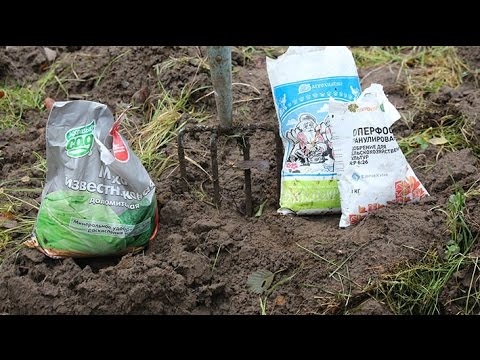 Визначення ущільнення ґрунтів: чи моя ґрунт занадто ущільнена для садівництва