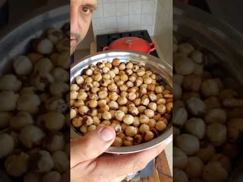 האבקת אגוזי לוז - האם עצי אגוזי לוז צריכים לחצות את האבקה