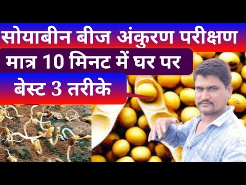 क्लीविया बीज अंकुरण: कैसे मैं क्लिविया बीज अंकुरण करते हैं