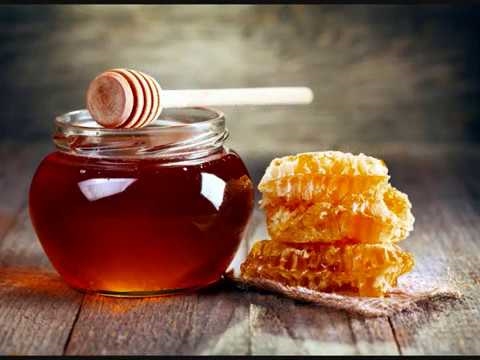 Савјети за узгој меда: Како да узгајате мед у лонцу