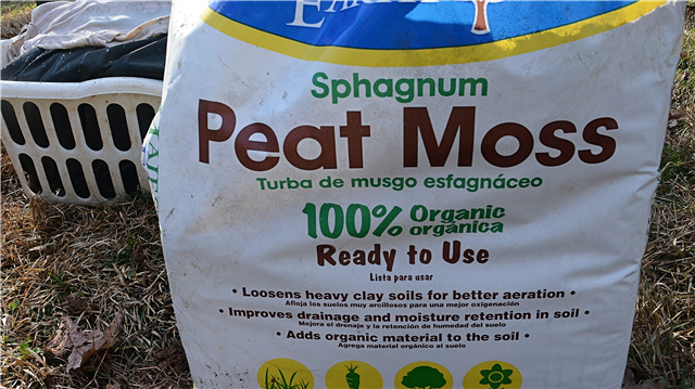 Musgo de turfa e jardinagem - informações sobre musgo de turfa Sphagnum