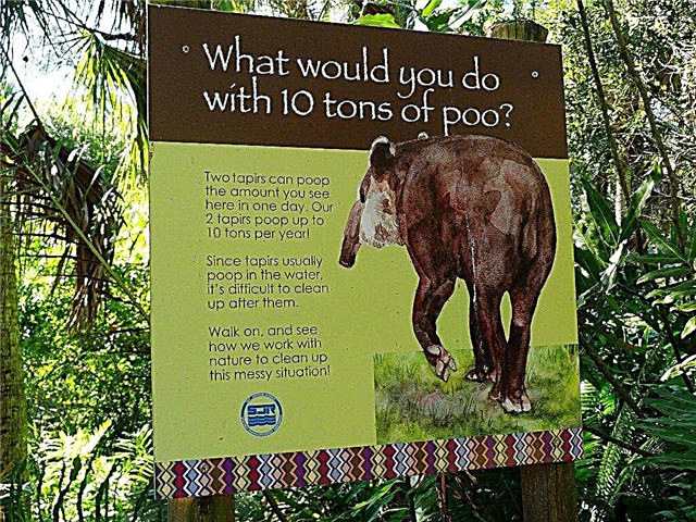 Qué es el estiércol exótico: dónde obtener el estiércol del zoológico para uso en el jardín