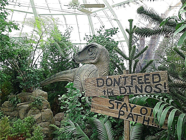 Dinosaur Garden Theme: Oprettelse af en forhistorisk have til børn