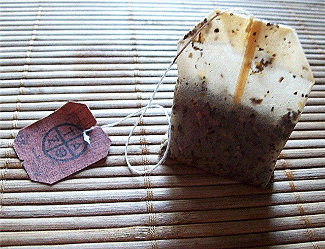 Kompostování čajových sáčků: Mohu dát čajové sáčky do zahrady?