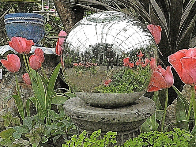 Que sont les globes de jardin: conseils pour utiliser et fabriquer un globe de jardin