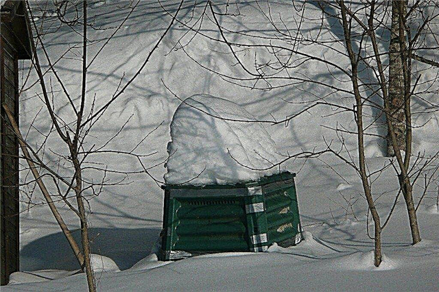 Wintercompostering: compost bewaren in de winter