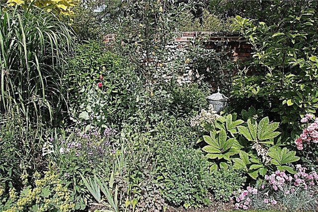 Het hele jaar door Garden Planner: hoe u een tuin met vier seizoenen maakt