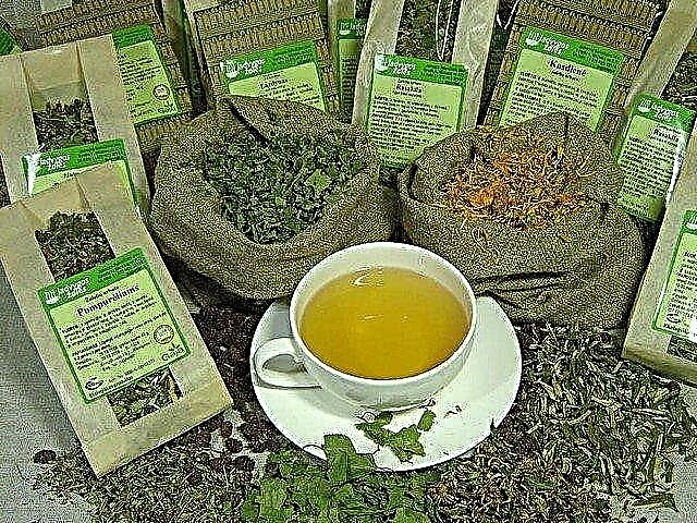 حدائق الشاي العشبية: كيفية استخدام نباتات الشاي لحديقة