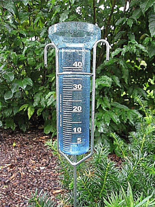 Máy đo mưa là gì: Thông tin về máy đo mưa trong vườn và các loại máy đo mưa