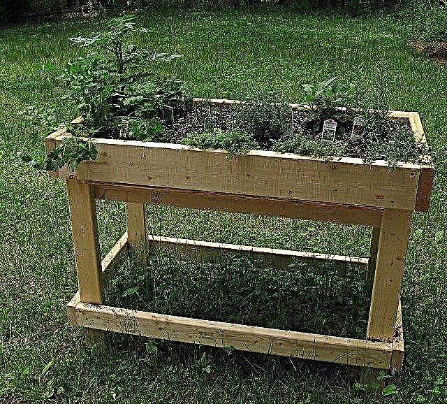 Galda dārza dizains: Kā veidot galda dārza kastes