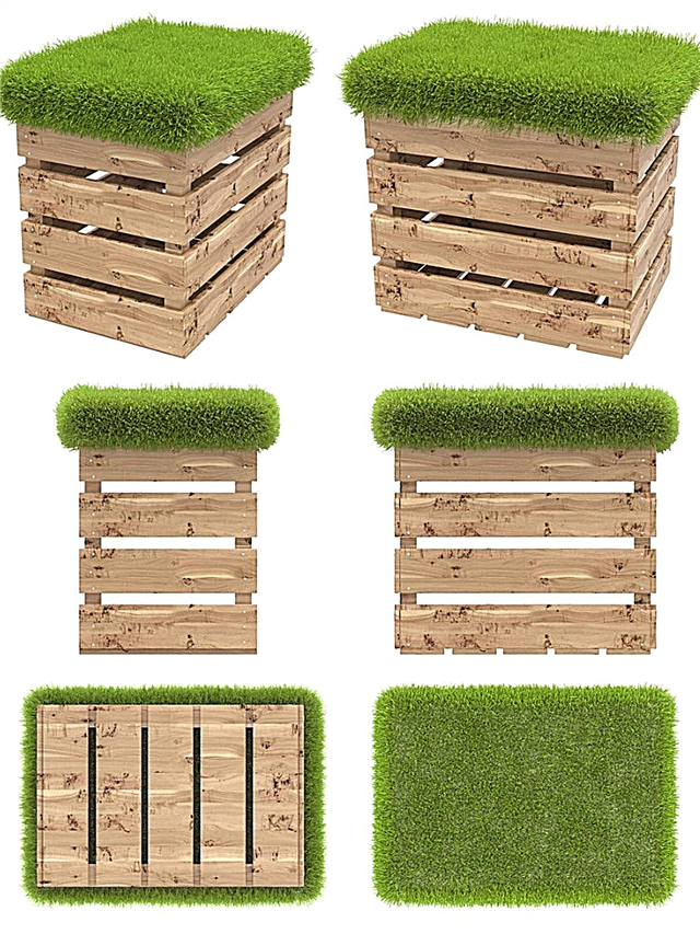 معلومات مقعد العشب: كيفية جعل مقعد العشب لحديقتك