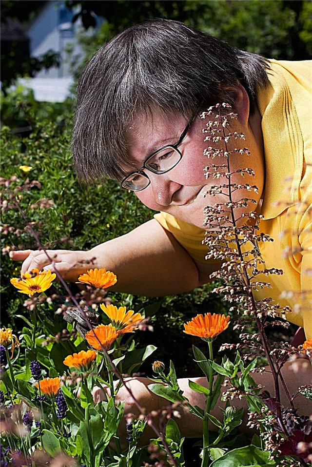 Benefícios terapêuticos da horticultura - usando jardins de cura para terapia