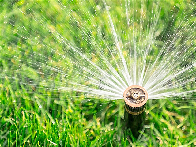 Sistemas de sprinklers inteligentes - Como funcionam os sprinklers inteligentes em jardins