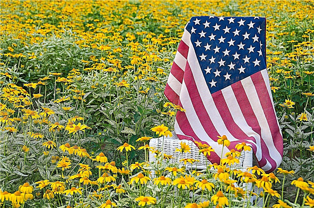 Flores dos Estados Unidos: Lista de flores do estado americano