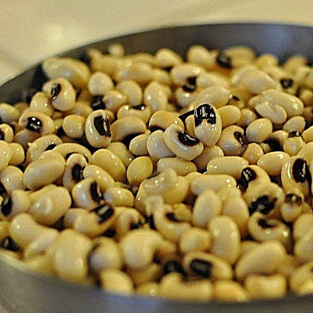 Black-Eyed Peas Plant Care: Groeiende Black-Eyed Peas in de tuin