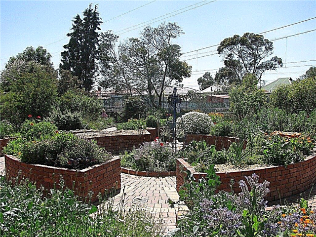 Омогућено уређење врта - научите о баштованству са инвалидитетом