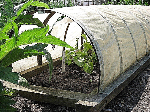 Kerti növények sorvédő burkolatai - Hogyan kell használni a lebegő sorvédőket a kertben