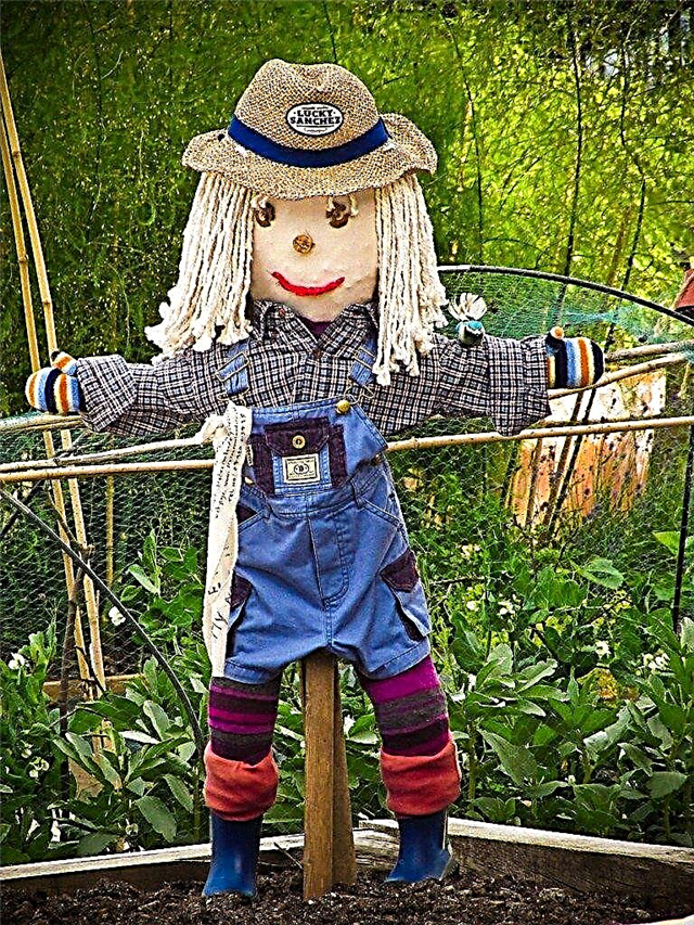 Kids And Scarecrow Gardens: Como fazer um espantalho para o jardim