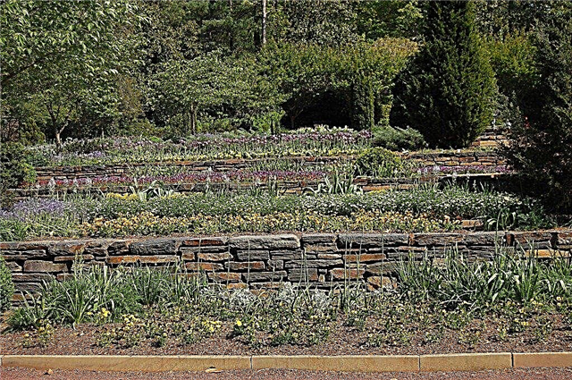 Hillside Terrace Gardens - Como construir um terraço no seu quintal