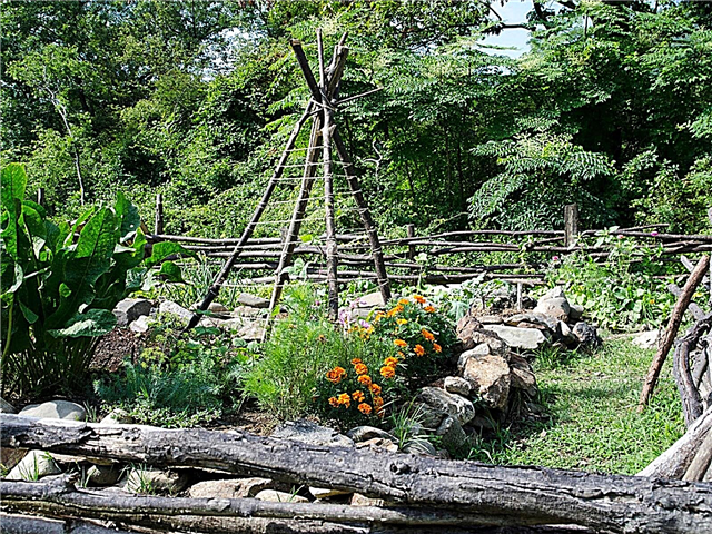 Plantas de jardín colonial: consejos para cultivar y diseñar jardines de época colonial
