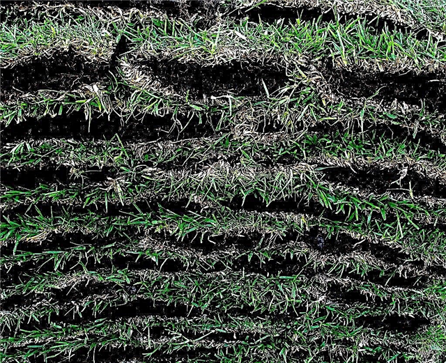 ラザニアの堆肥化–ラザニアの堆肥畑の芝生をレイヤー化する方法