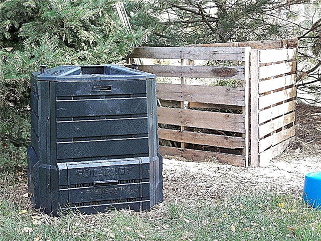 Los mejores contenedores de compost: consejos para elegir el contenedor de compost perfecto