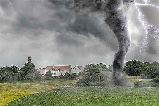 Jardinería a prueba de tornados: cómo proteger su jardín de un tornado