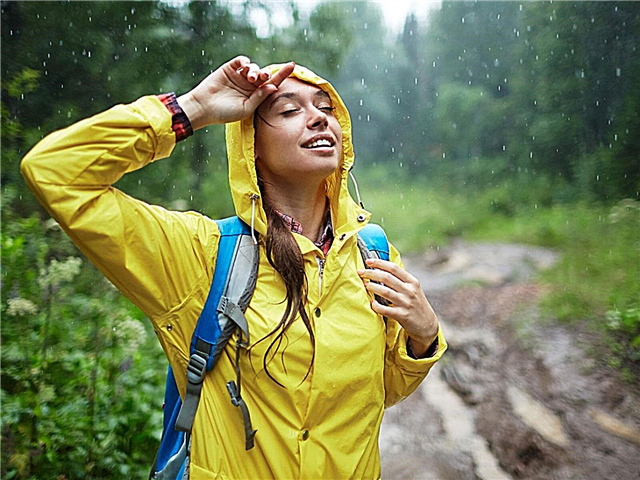 Pourquoi la pluie se détend-elle: comment réduire le stress avec la pluie
