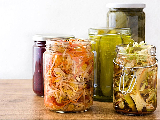 Können Sie Produkte zu Hause fermentieren: Gemüse aus dem Garten fermentieren
