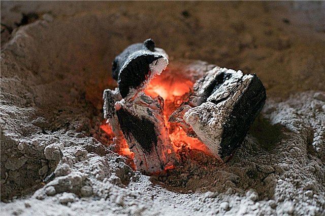 En savoir plus sur l'utilisation des cendres dans le compost