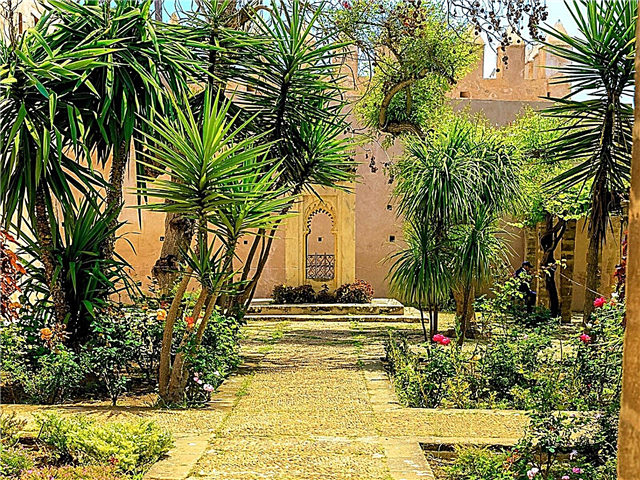 Tuin in Marokkaanse stijl: hoe een Marokkaanse tuin te ontwerpen