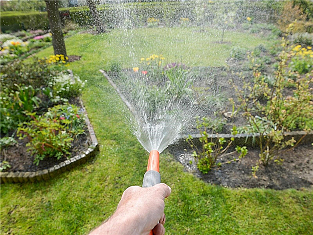 Bewässerung des Gartens - Tipps, wie und wann Sie den Garten gießen müssen