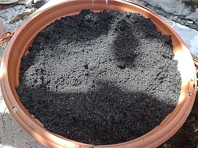 Sfaturi pentru a steriliza pământul în sol, grădina și solul pentru semințe