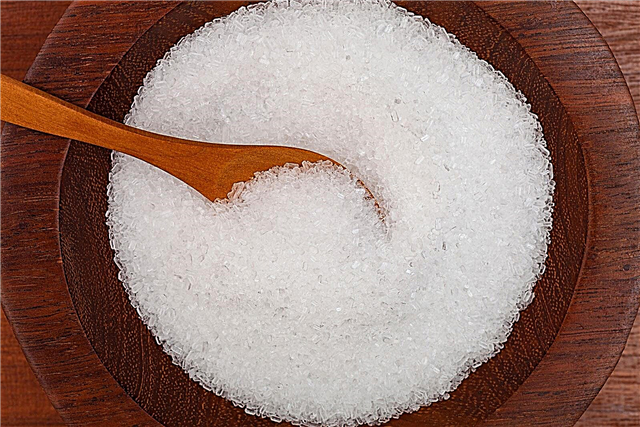 Информация за използването на соли Epsom за растения