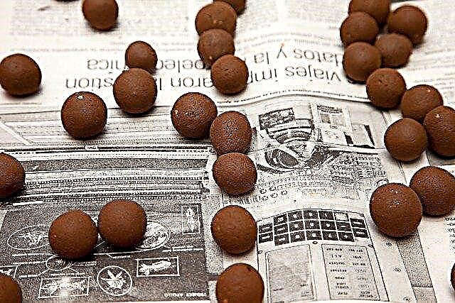 Recept za semenske kroglice - kako narediti semenske kroglice z otroki