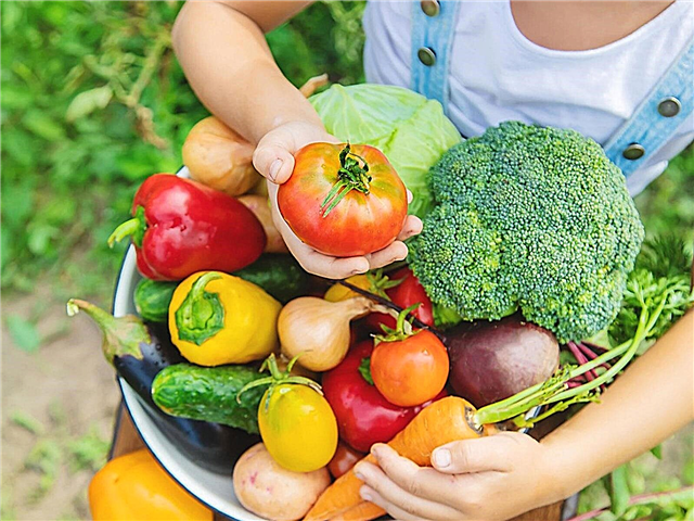 Signes de légumes frais - Comment savoir si les légumes sont frais