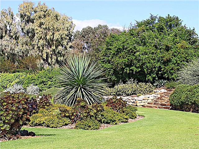 Avstralski vrtnarski slog: Spoznajte vrtnarjenje v Avstraliji