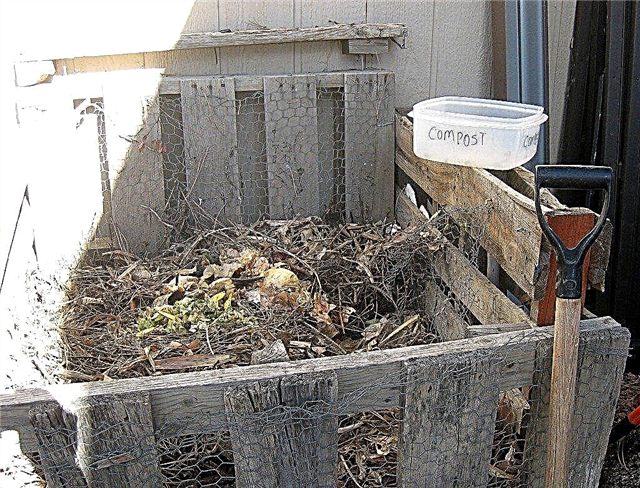 Kompost İçin Kaşları ve Yeşilleri Karıştırın