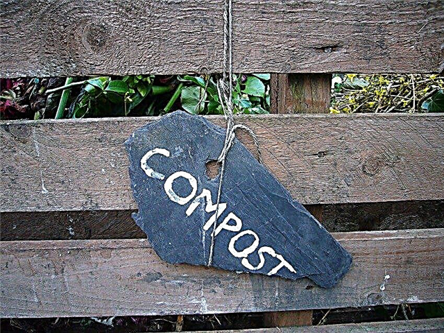 Komposts slikti smaržo: kā labot slikti smaržojošu kompostu