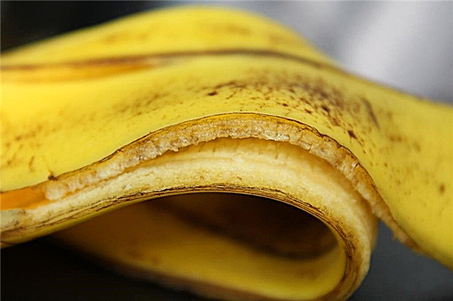 الموز في السماد: كيفية تسميد قشور الموز