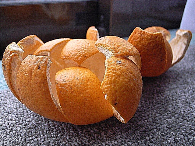 เปลือกส้มในปุ๋ยหมัก - เคล็ดลับสำหรับการทำเปลือกส้ม