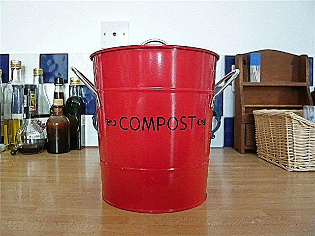 ¿Qué se puede compostar y qué no poner en el compost de jardín?