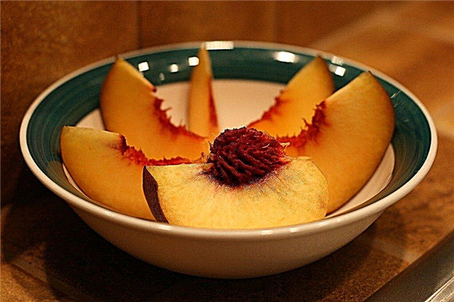 Посадка семян персика - Как вырастить персиковое дерево из ямы