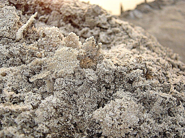 الملح في التربة - عكس ملوحة التربة