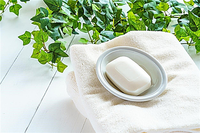 Mýdlo pro zahradní použití: Použití mýdla v zahradě i mimo něj