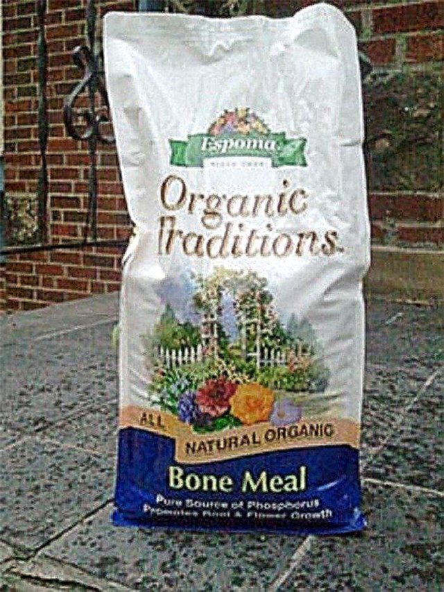 Informações sobre o uso de farinha de osso para plantas