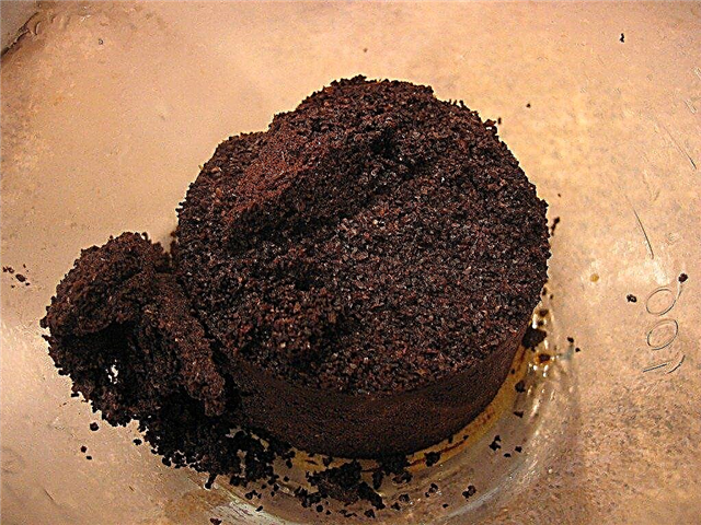 Kahve telvesi ile kompostlama - Bahçe işleri için kullanılan kahve telvesi
