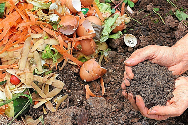 Osnove kompostiranja: kako deluje kompostiranje